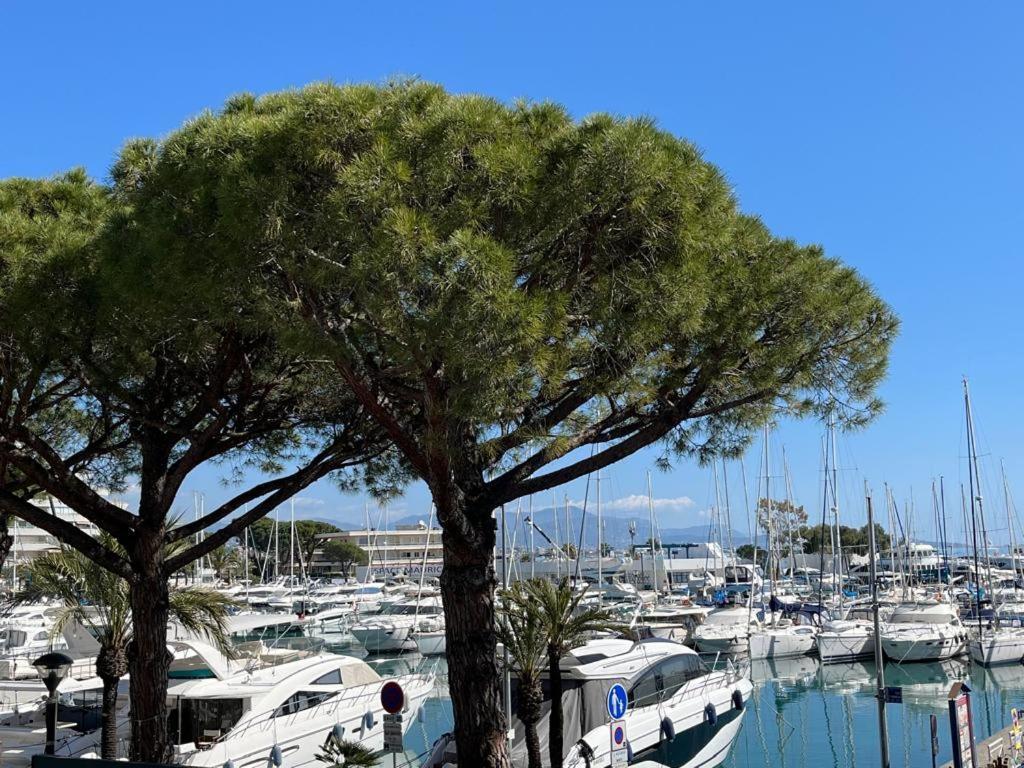 4 Pers , 100M De La Plage Marina Baie Des Anges French Riviera Villeneuve-Loubet Buitenkant foto